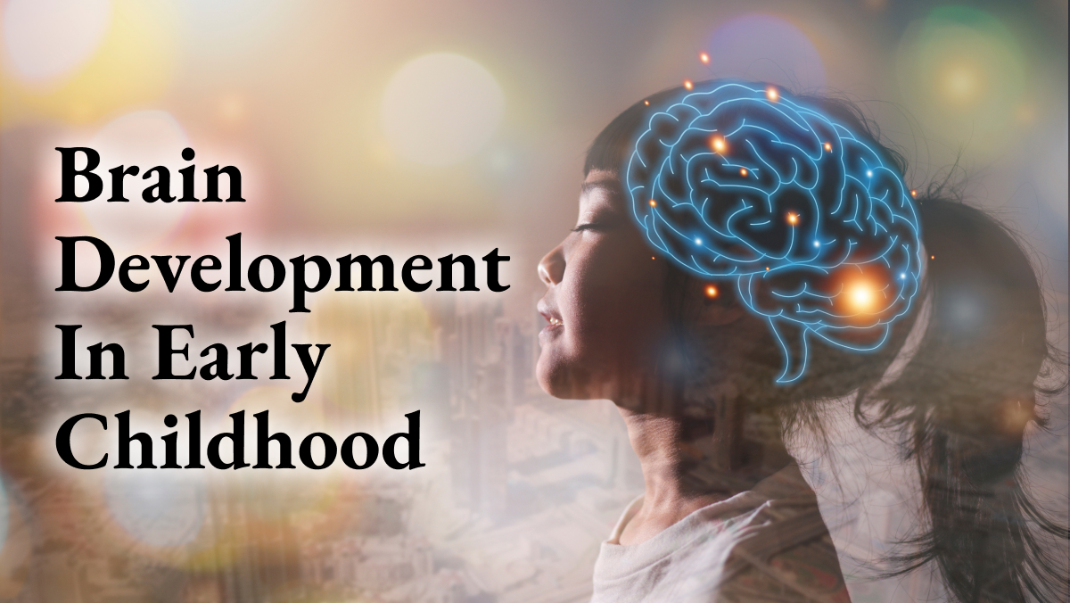 brain development in early childhood