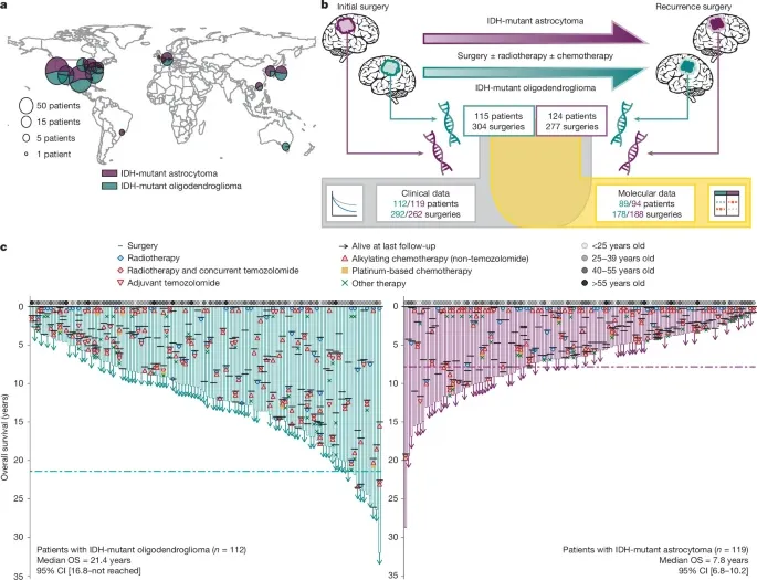 GLASS: a comprehensive global dataset on the evolution of IDH-mutant glioma.