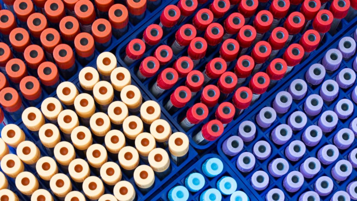 color coordinated test tubes